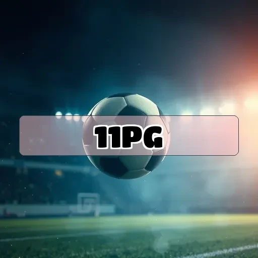 11PG.com Suporte